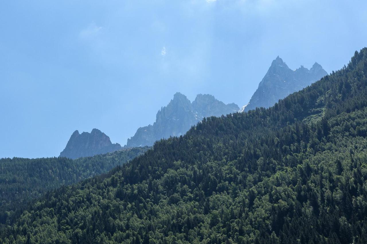 Apartment Iris 4 - Central Chamonix Haven Mont Blanc المظهر الخارجي الصورة